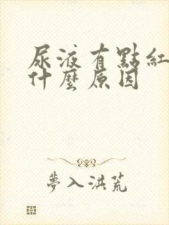 尿液有点红色是什么原因