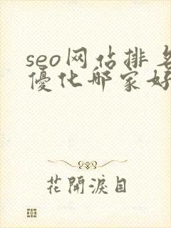 seo网站排名优化哪家好