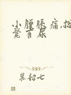 小腹胀痛,总感觉有尿