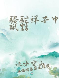 骆驼祥子中考知识点