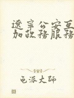 辽宁公安互联网加政务服务平台