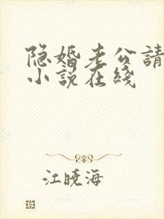 隐婚老公请低调小说在线