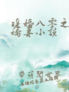 暖婚八零之全能娇妻小说