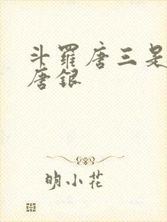 斗罗唐三是我哥唐银