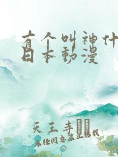 有个叫神什么的日本动漫