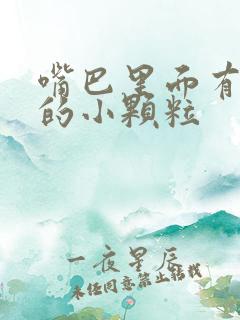 嘴巴里面有白色的小颗粒