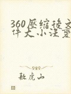 360压缩后文件大小没变