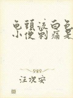 龟头流白色液体小便刺痛是怎么回事