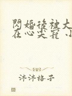 闪婚后被大佬放在心尖宠 小说完整