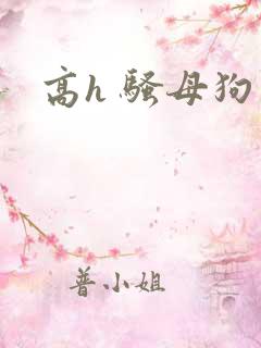 高h 骚母狗
