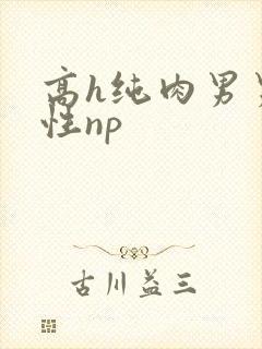高h纯肉男男双性np