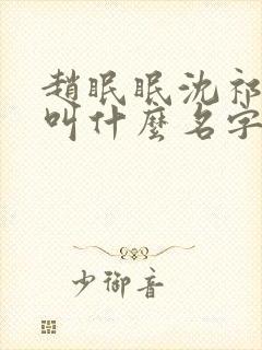 赵眠眠沈祁小说叫什么名字