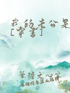 我的老公是反派[穿书]