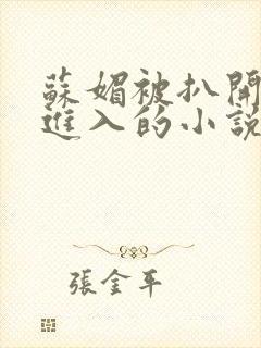 苏媚被扒开双腿进入的小说