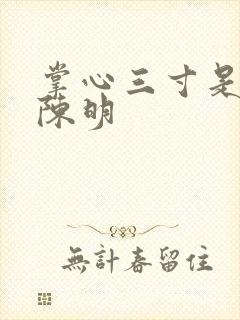 掌心三寸是人间陈明