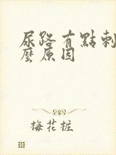 尿路有点刺痛什么原因