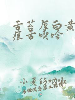 舌苔厚白黄有齿痕舌吃啥