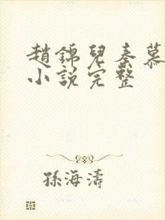 赵锦儿秦慕修 小说完整