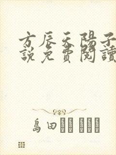 方辰天阳子的小说免费阅读