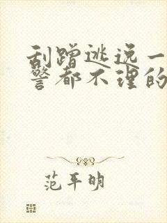 刮蹭逃逸一般交警都不理的么