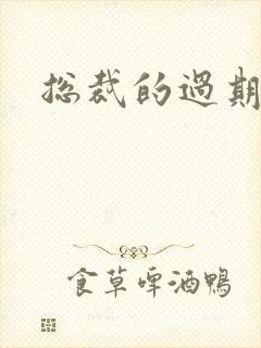 总裁的过期情人