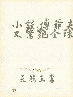 小说,傅爷夫人又惊艳全球了