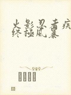 火影忍者疾风传终极风暴