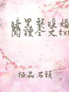 暗黑系暖婚免费阅读全文txt