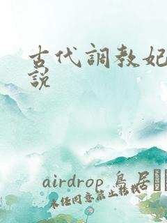 古代调教妃子小说