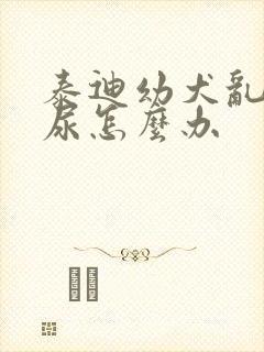 泰迪幼犬乱拉乱尿怎么办