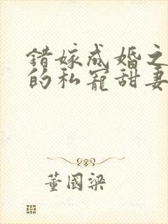 错嫁成婚之总裁的私宠甜妻