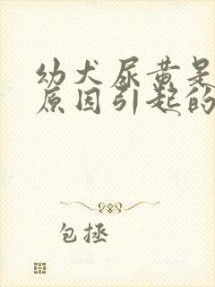 幼犬尿黄是什么原因引起的