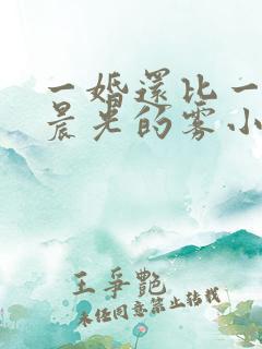 一婚还比一婚高晨光的雾小说