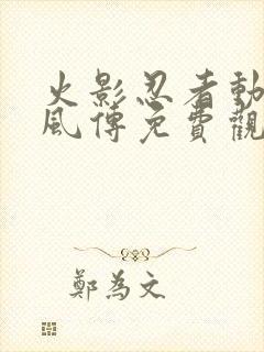 火影忍者动漫疾风传免费观看