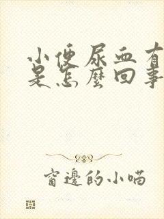 小便尿血有血块是怎么回事女