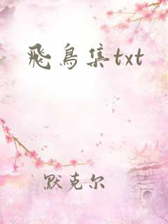 飞鸟集txt