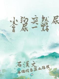 小狗突然尿频一会尿一点