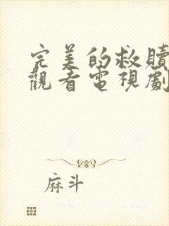 完美的救赎免费观看电视剧全集