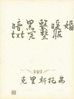 暗黑系暖婚小说txt完整版
