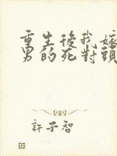 重生后我嫁给渣男的死对头短剧