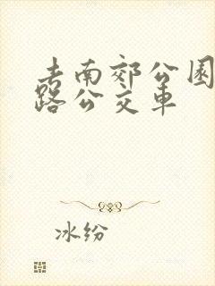 去南郊公园坐几路公交车