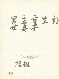 男主重生补偿前世妻子