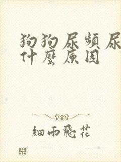 狗狗尿频尿多是什么原因