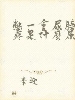 憋一会尿膀胱就疼是什么原因