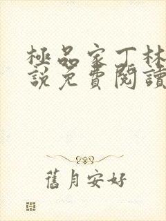 极品家丁林三小说免费阅读免费无广告