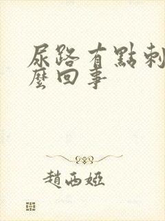 尿路有点刺痛怎么回事