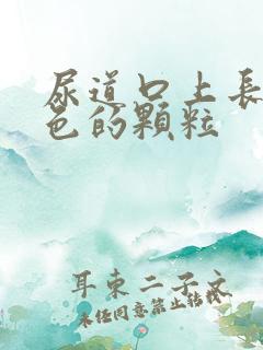 尿道口上长了白色的颗粒