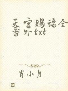 天官赐福全文加番外txt