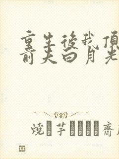 重生后我顶替了前夫白月光 txt下载