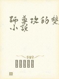 师尊攻的双男主小说